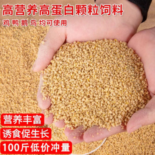 �S��ֱ�N40���u���С�u�_������ĸ�u�µ�ȫ�rι�u�w��ȫ�r�ϴ�C