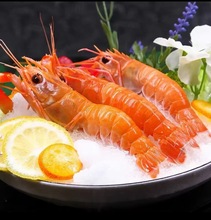 【LD】深海鳌虾海鲜自助非刺身虾新西兰斯干比虾生腌虾