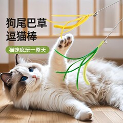 犬の尾の草は猫の棒の長い竿をからかって猫のおもちゃをかむことに耐えます。