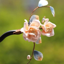 发簪;发钗;耳环