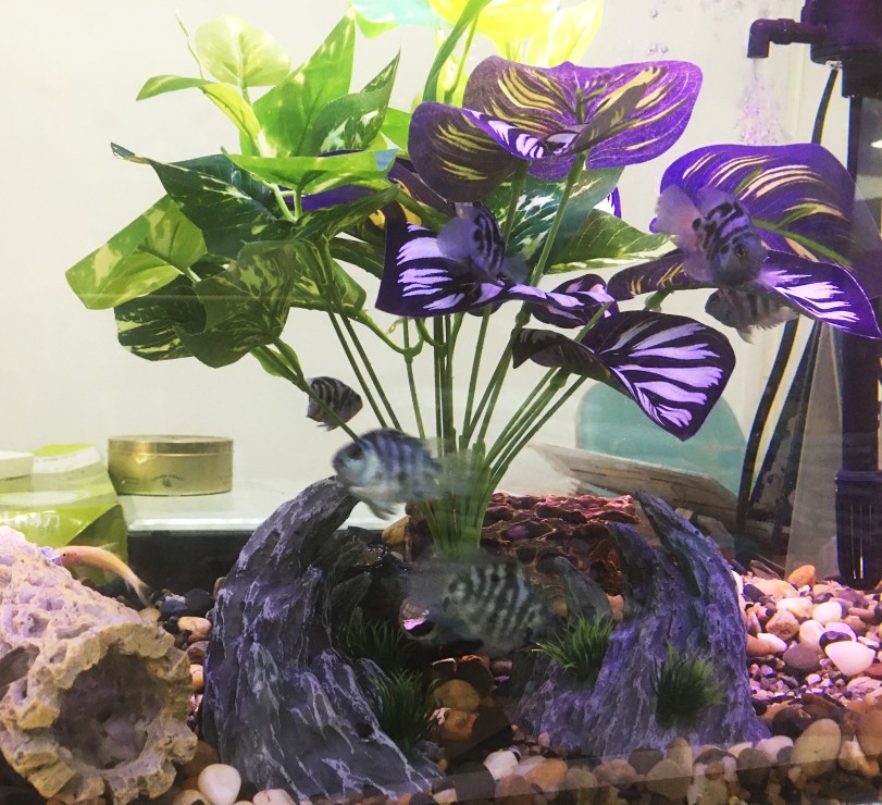 微信图片_201245414