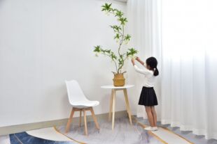 ����Gֲˮʯ�Ż���͏d��ؙ����b��컨ˇ�[���ٻ�ֲ�����