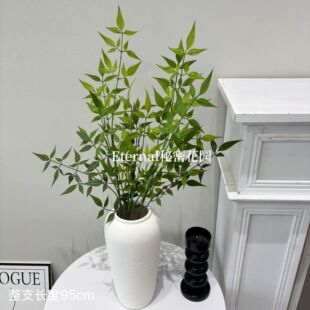 ����Gֲ������һ�w��֧�~�ļҾӾƵ��b����[������ֲ����ľ�~