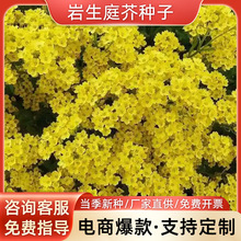 ����ͥ��N�Ӷ������׷N��N�̨�����ͺ�Ұ���M�Ͼ��^�����N��