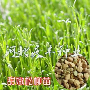 ����������ѿ��˷N�������N��ˮ���ѿ���ļ��߲�