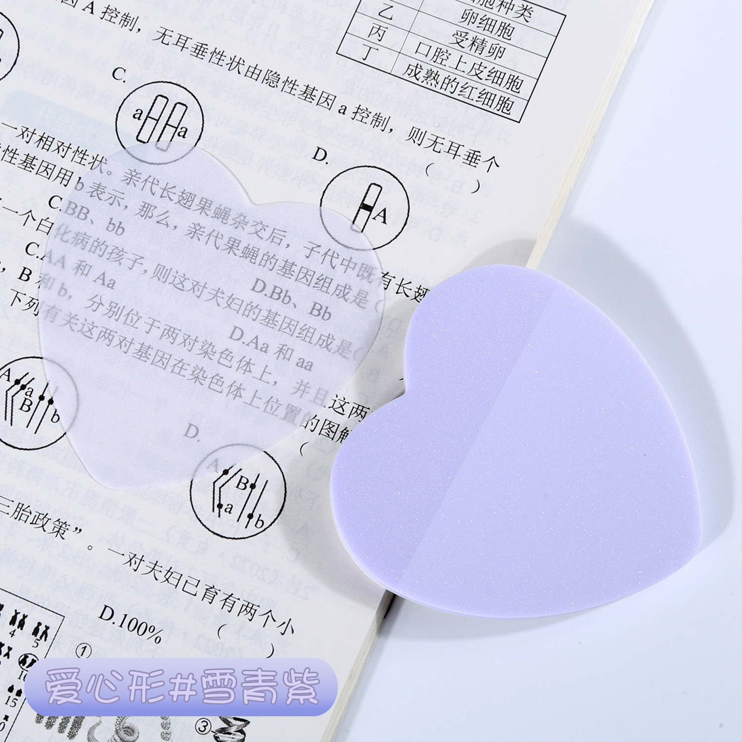 Xueqing púrpura 221 #