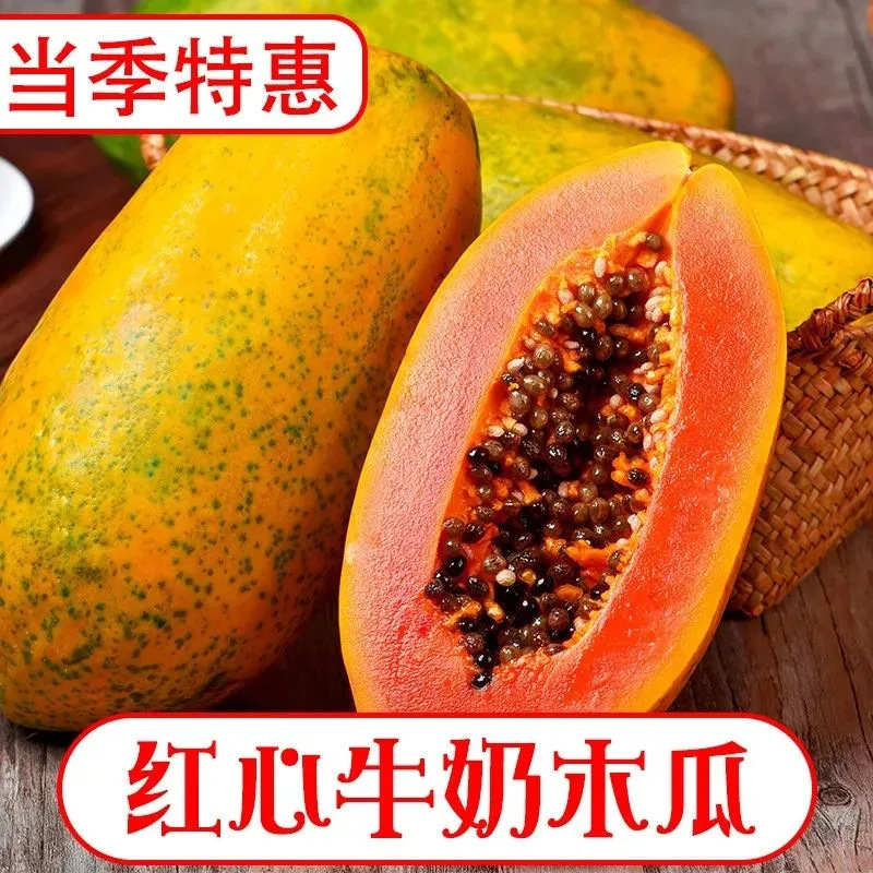 Sweet Red Heart Papaya Fresh Fruit for Pregnant Women Wholesale Milk Rock Sugar Heart Papaya Tree Ripe Authentic Large Fruit Free Shipping