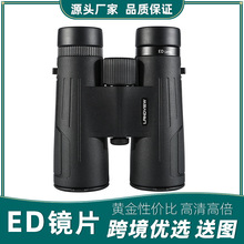 10x42EDpͲhR߱⌤^΢ҹҕIˮ