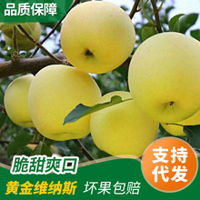 ���l��̨��ϼ�O�����r���𮔼��������l����ˮ���S��S�{˹�O��