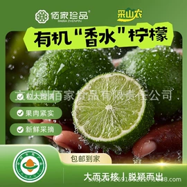 其他药食同源;蒜;复合调味料