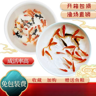 ��ˮС���~�^�p�~���N�\���~С�^�p�~�ͻ���ˮ�~��t���~