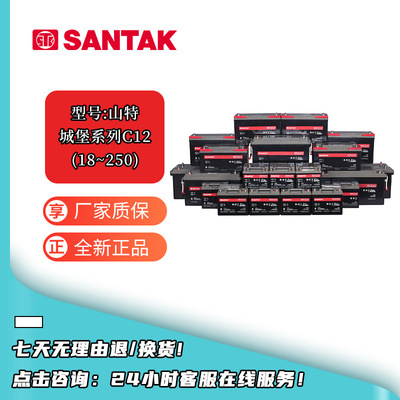 山特城堡蓄电池C12-12V 7-250/H铅酸免维护UPS电源c12-18~c12-250