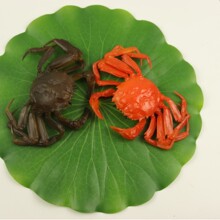 �����з���lз����з���rģ�ͷ����з�͏dӰҕ���M�Ĕz���յ���