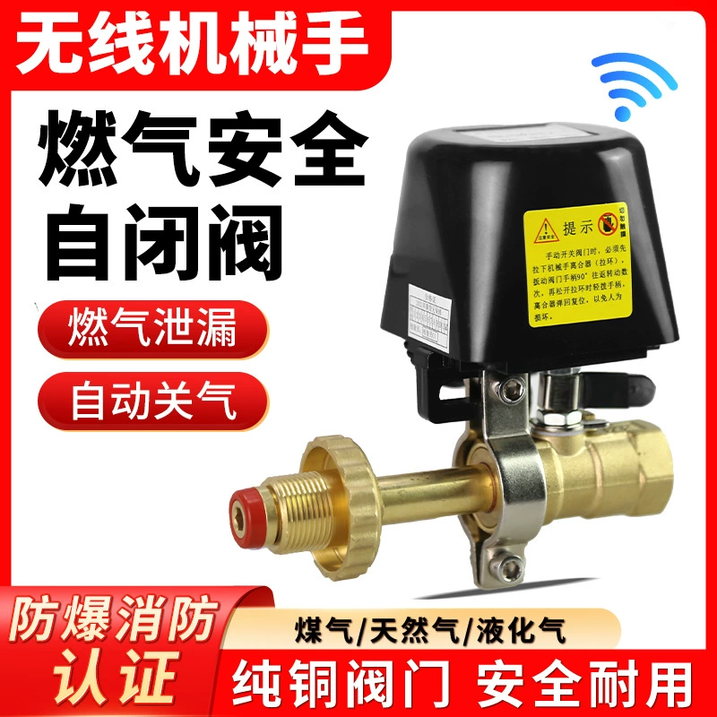 Газовая сигнализация Специальный электромагнитный клапан автоматический газовый клапан