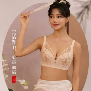 2026新款高端塑形刺绣内衣小胸聚拢显大收副乳防下垂防外扩文胸罩