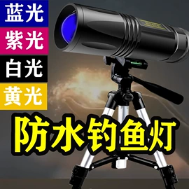 其他垂钓用品;鱼竿;鱼饵