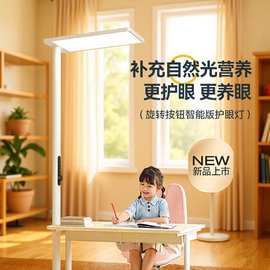 轻奢现代led大路灯全光谱护眼台灯立式学习专用书桌钢琴落地台灯
