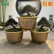 �������ʷ��մ��������ܻ���Ӻ�������������ͥԺ��̨��˯����