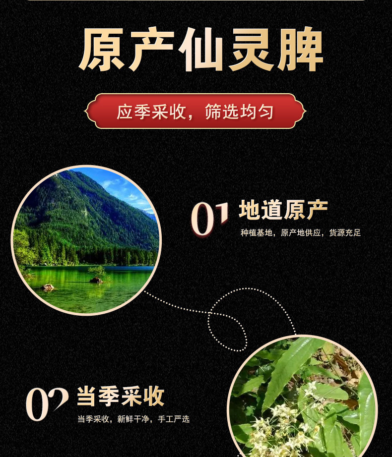Wild Xian Ling Pi Epimedium Root Slices 100g Traditional TCM Herbal Tea and Wine Infusion Herb key features