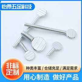 非标网球拍螺丝 碳钢乒乓球拍螺丝 扁头镀锌手拧拇指螺丝波板螺钉
