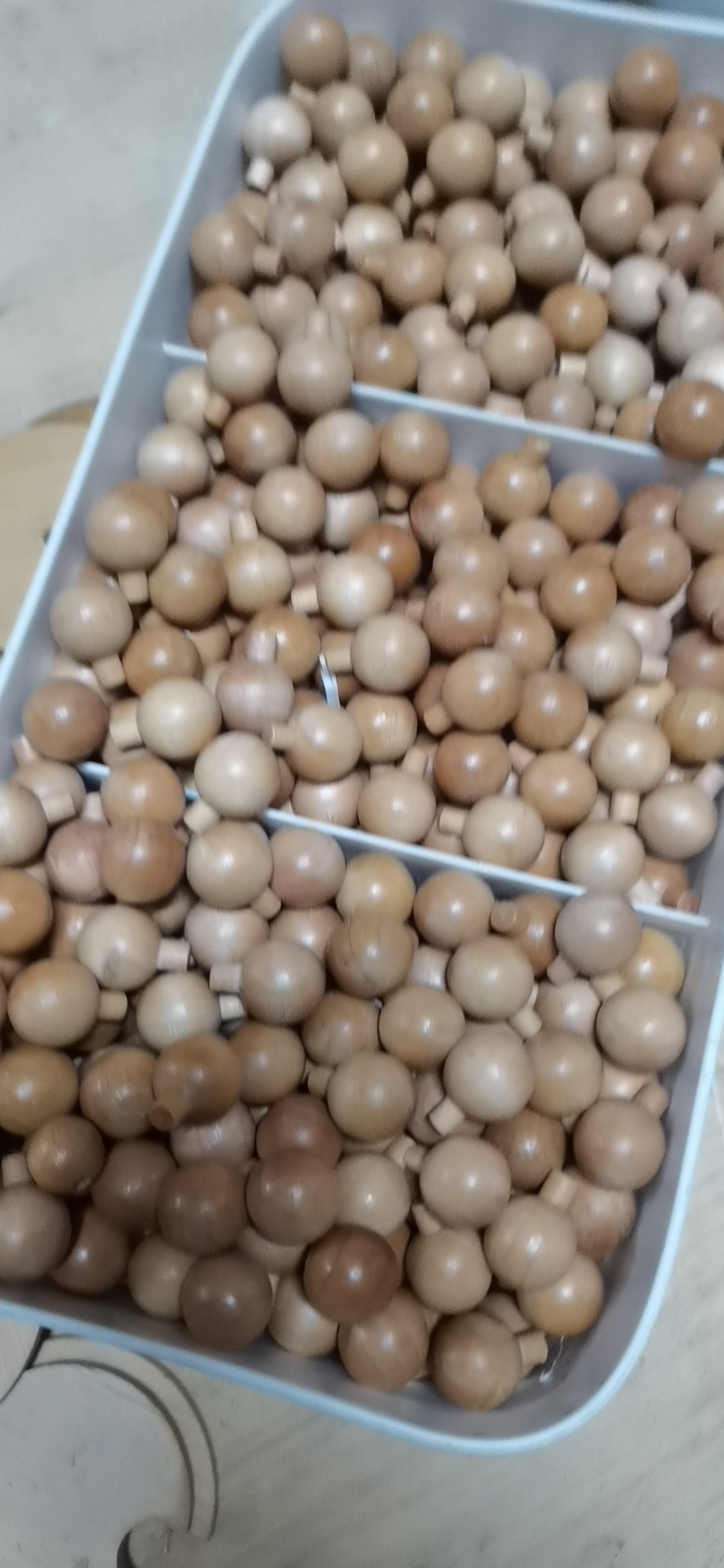 IMG_3809(20210823-193150)