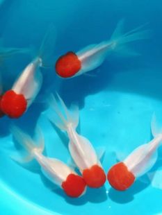 ���\���^���~���~��ˮ�~�^�p�~�~�������tñ�����~��픇��⵭ˮ