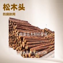 @gÖ|~ԭľ  46״ľ ľl ~Ƀr