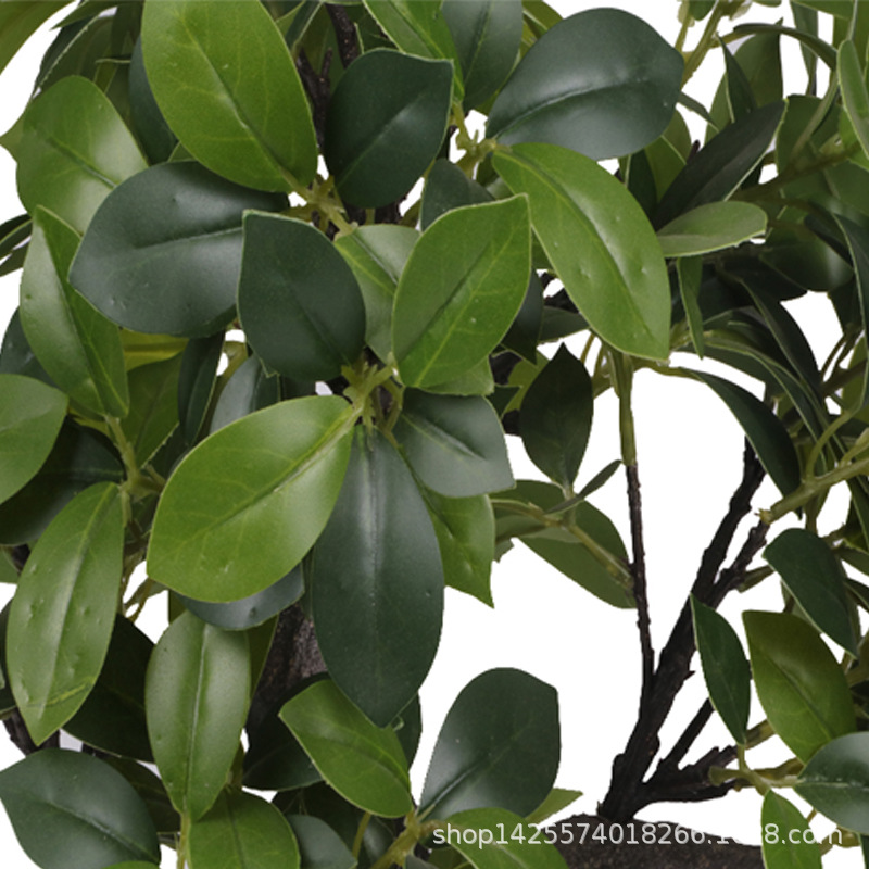 XRS-160 迷你榕叶8号盆栽207叶4.jpg