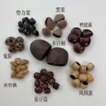 新品首发 果壳风铃手摇铃材料 黑果夹竹桃水铃桐凤凰蛋厂家批发