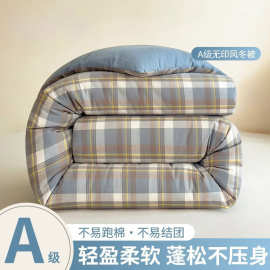2025冬季新款无印风冬被加厚冬被春秋被保暖加厚被褥学生被子被芯