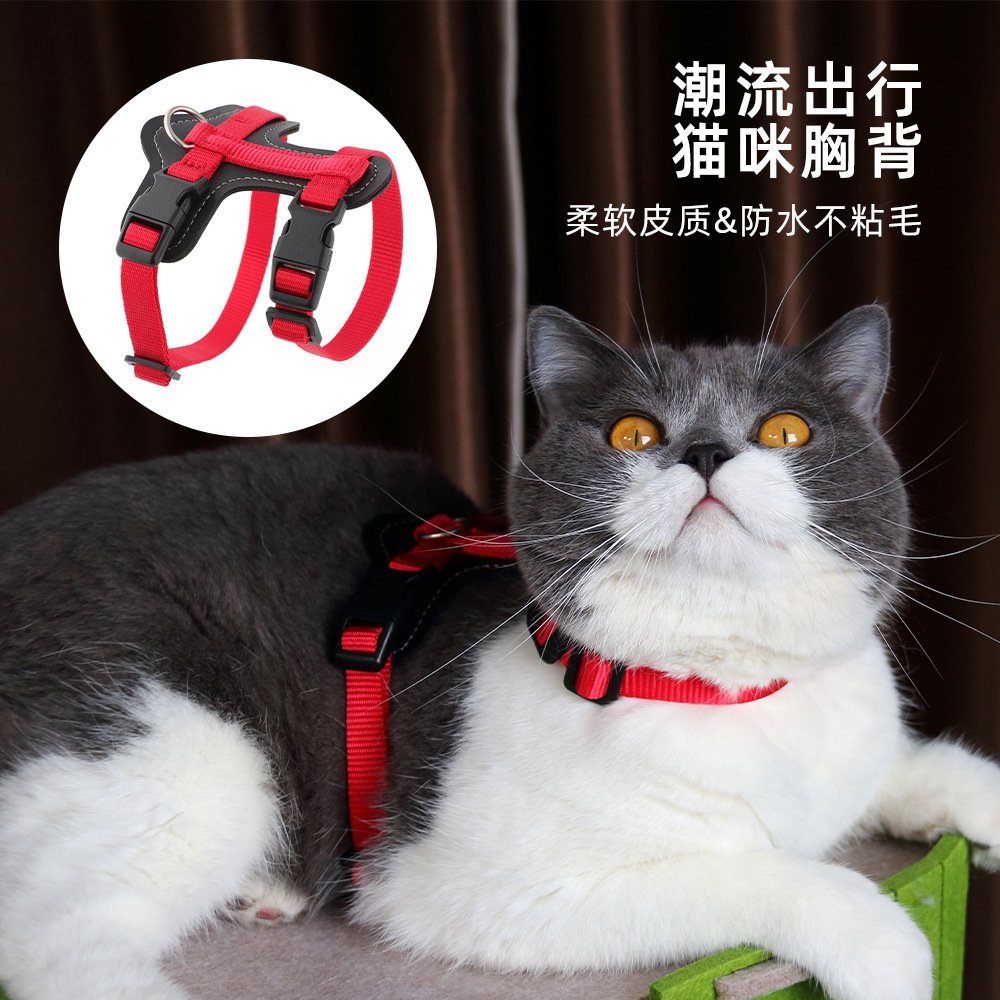 跨境直供猫咪牵引绳防挣脱外出专用溜猫绳子宠物胸背带链子可调节