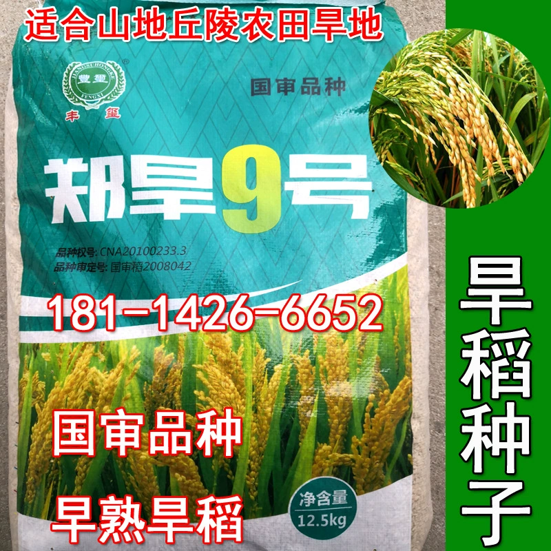 Семена риса нагорья Чжэн Хан № 9 Горная равнина Холмистая Посев семян риса Пэдди по требованию Прямой посев раннего риса