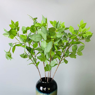 �����Ř�֦�Ř��~����ͩ���_ľ����ľ���~�y���~ �Ř� �٘��~�b�