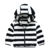 3097-6 black stripes