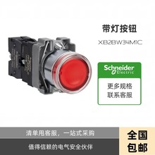 XB2BW34M1C/ICƽ^ƽ^o_P Gɫ _λXB2BW34B1C/IC