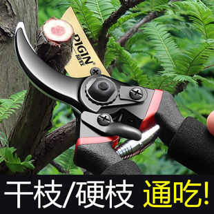 Special Scissors for Cutting Branches, Household Branch Pruning, Fruit Tree Pruning Knives, Pruning Shears, Flower Gardening Scissors Tools