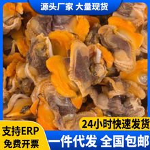 ë�����ؐ�����r������������rë����͘��Ѫ�������ñ���������