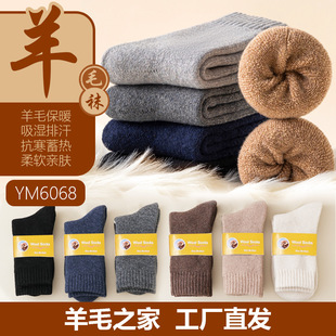 5�p�b��ë�m��ʿ�ӽq��ů�m����Ͳ����ë�q���m�����������e�ٴ�