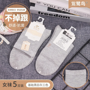 �m��Ů���� ��Ͳ�m��ɫ�������m5�p�b�ļ�ͨ�������m�S�����l�m��