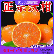 【活动款】正宗云南沃柑新鲜水果现摘整箱对接电商直播源头直发