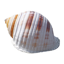 ���c���ݴ��ݚ�ؐ���~�׾�ؐ�~��ֳ�������҃Ȕ[���ÿ�