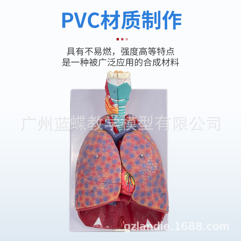 ��Ȼ��������ķ�ģ�ͺ�����״�ٷ�����ģ�ͺ���ϵͳ�β��������