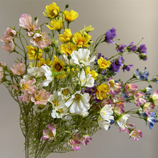 ��֦���L�ǿղ�˹�շ��滨�r��ֲ�qС�黨��Y�û�c�廨�Ҿ��b�