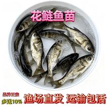 �ش����~�����^�~���^���I���p�����~�a�~�����~�����l����