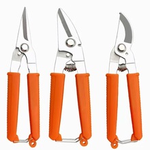 òPFƤք늾I늹@ˇּ֦ʡ֦