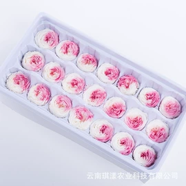 干花;永生花;鲜花花艺制品