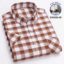 高级感牛津纺格子衬衫男士短袖夏季新款100%全棉休闲半袖衬衣批发