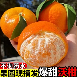 �V��ï�ȸ����r���Ӯ����ЋD���rˮ������ժ����̽��ӻʵ�ɰ��