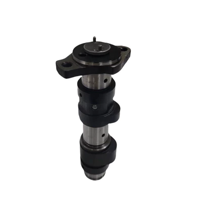 Crankshaft, camshaft Yamaha Raptor 660R