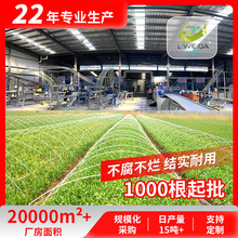 厂家直销大小拱棚杆支架温室花棚蔬菜大棚玻璃纤维杆棒子大棚骨架